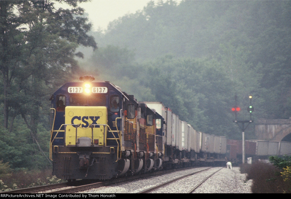 CSX 6137 heads up a consist of TOFCs on this intermodal